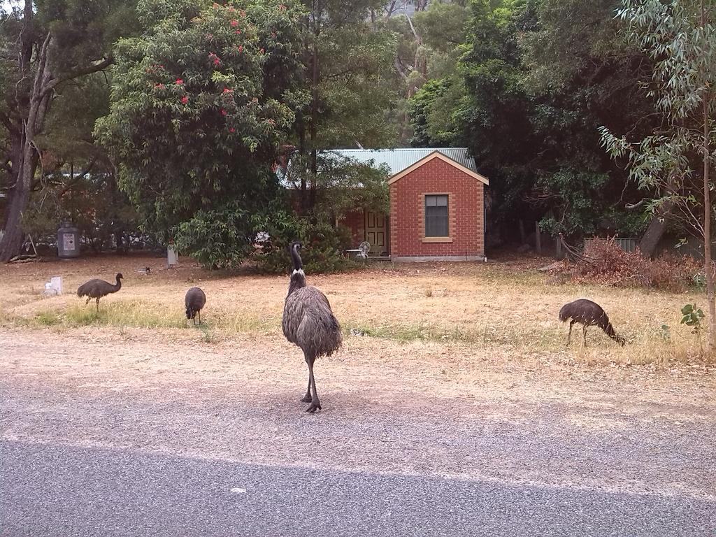 Heatherlie Cottages Halls Gap Kültér fotó